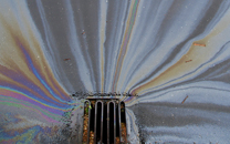 Grease swirling down drain