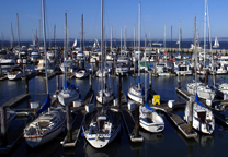 Photo of a marina